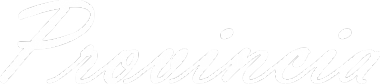Логотип компании PROVINCIA
